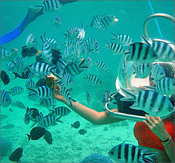 Undersea walk in Mauritius Island